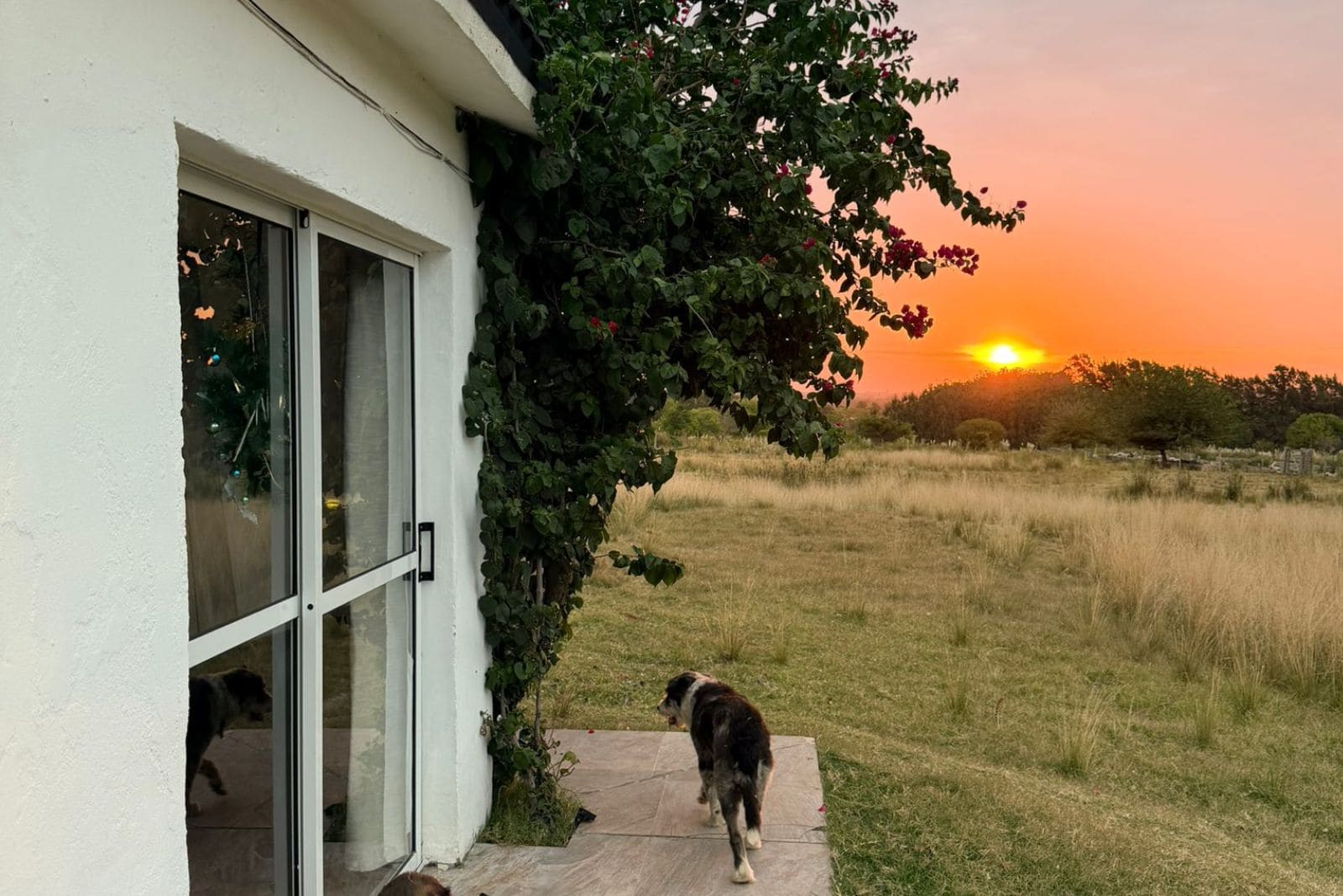 RESIDENCIAL ALTOS DE RINCÓN