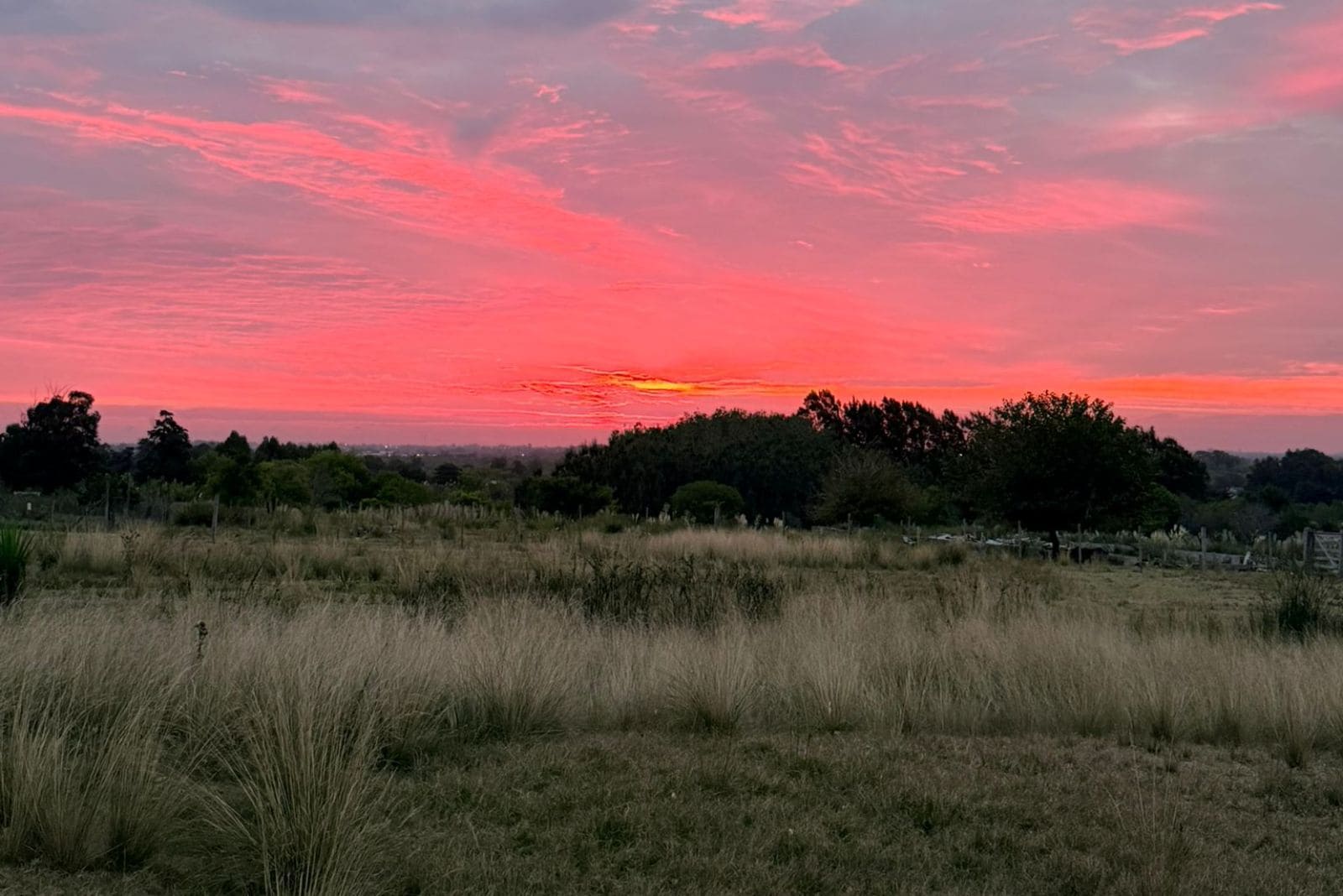 RESIDENCIAL ALTOS DE RINCÓN