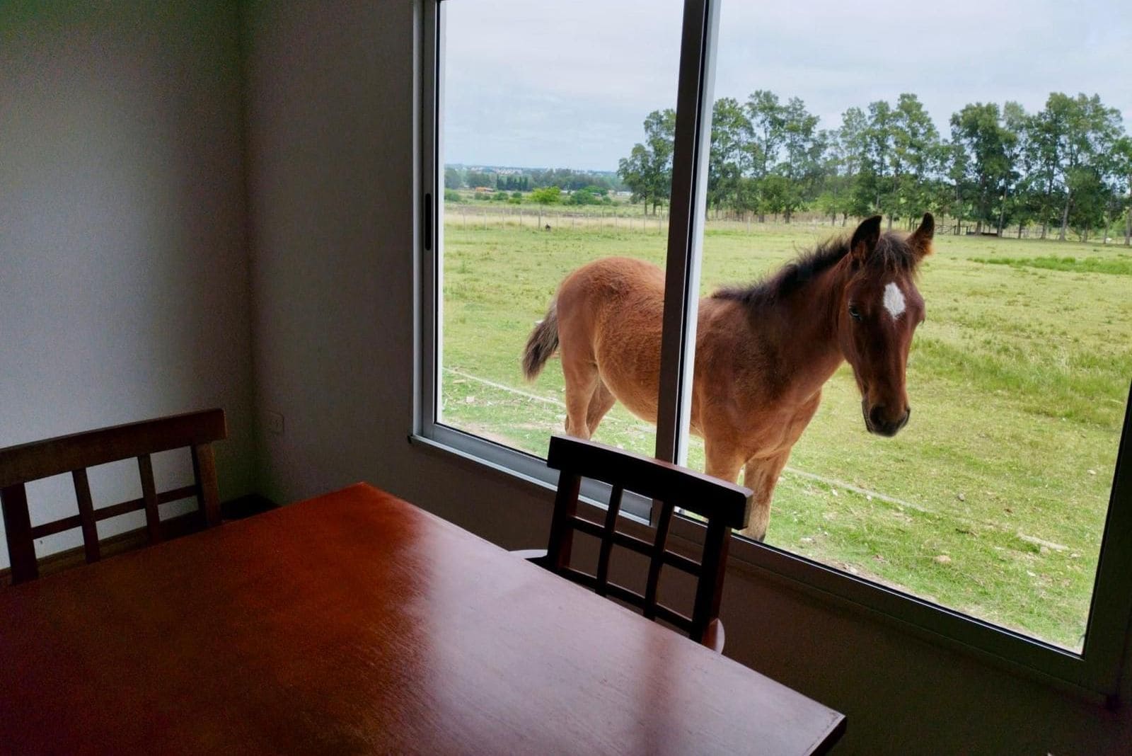 RESIDENCIAL ALTOS DE RINCÓN